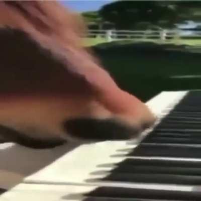hors