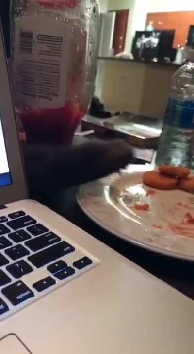 Sneaky kitty
