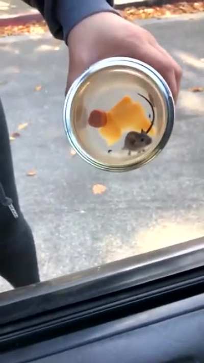 🐀