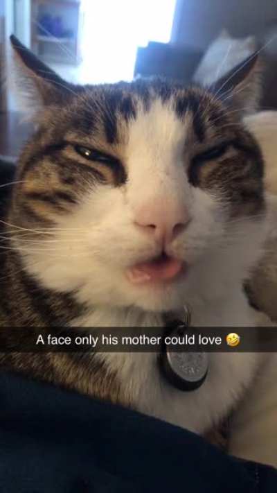 I can&rsquo;t get enough of this goober!