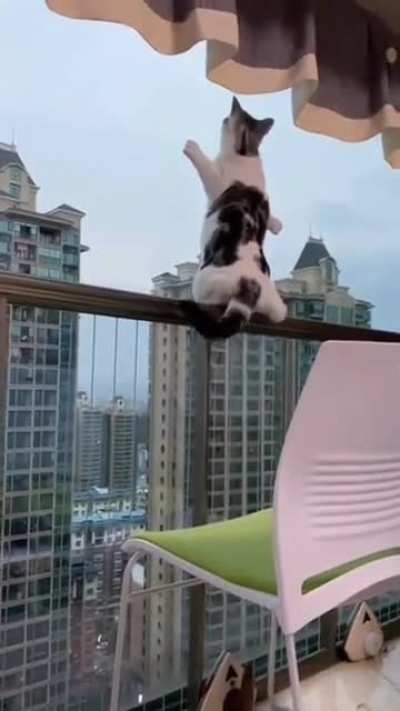 Don&rsquo;t scare me like that, kitty...