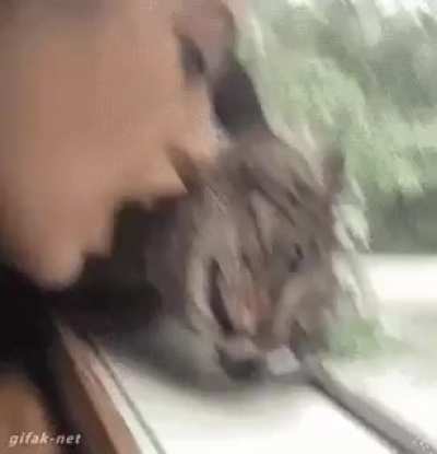 Why won&rsquo;t you love me!