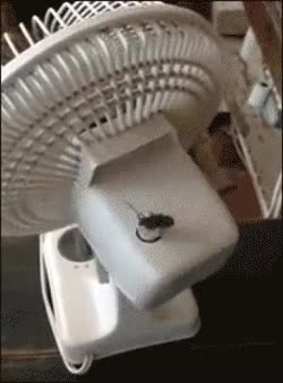 Turkish radar