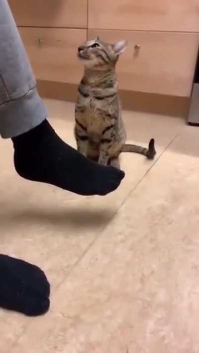 Your F feet