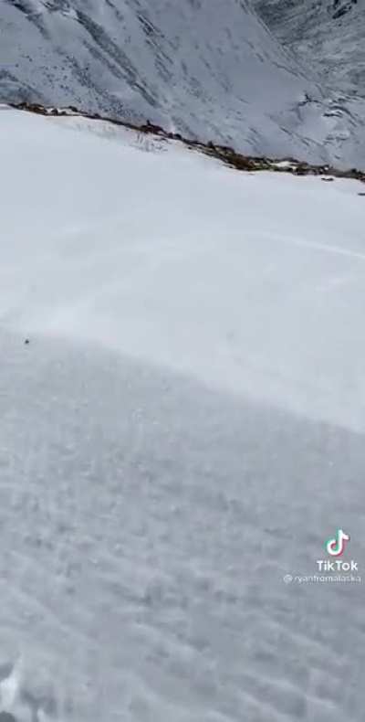 Just a spider vibing on a Mountain
