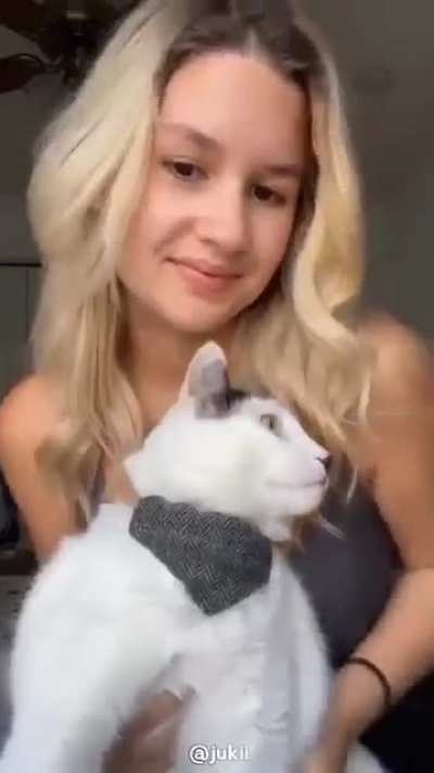 Alman kedisi