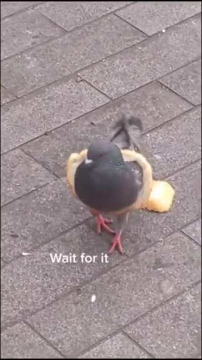 It&rsquo;s a sign of wealth