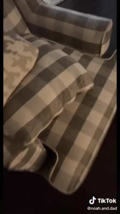 This Dad playing hide and seek with his son