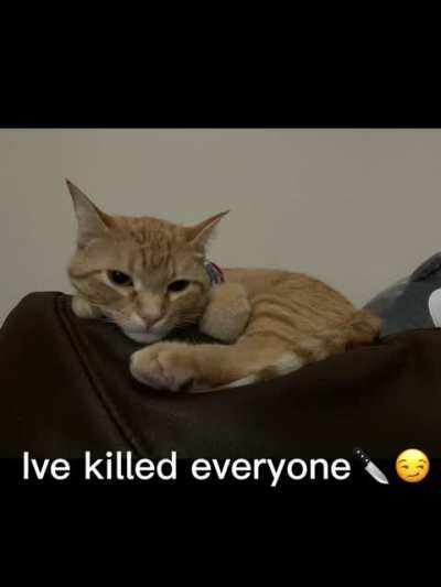 This is my favorite tiktok trend and I had to hop on the trend