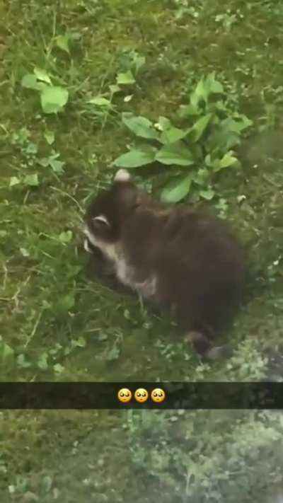 It&rsquo;s a baby!