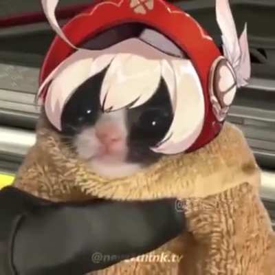 Xd+13