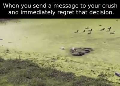 *ploop* oh no.