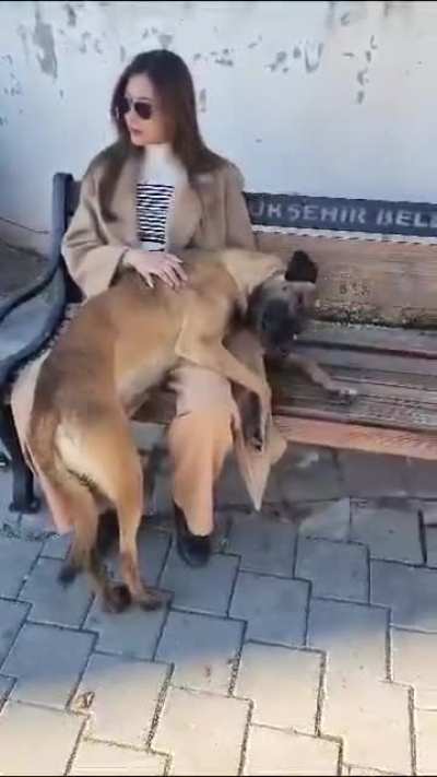 This street dog in Turkey just came and flopped to my lap and demanded lots of love.