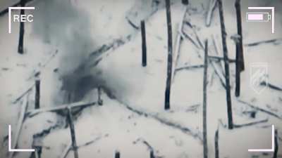 Drones of the Azov Assault Brigade targeting Russian soldiers. Luhansk Oblast, January 2024.