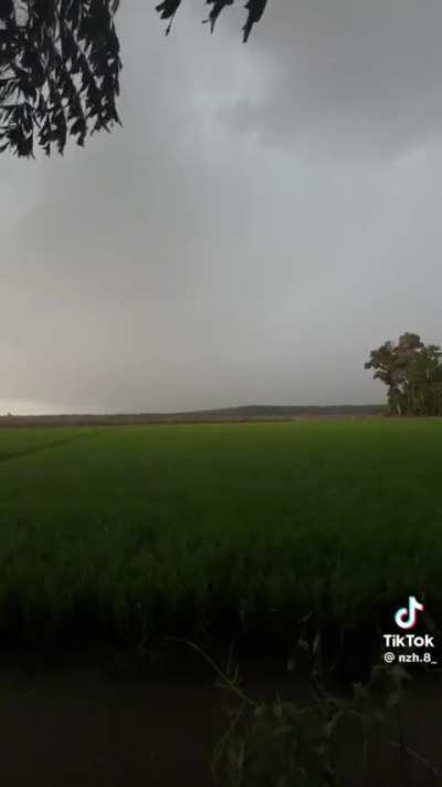 Windy Plains