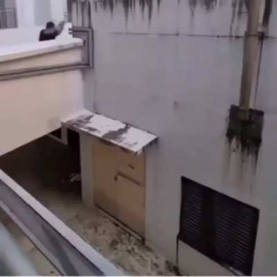 What could go wrong diving head first in parkour