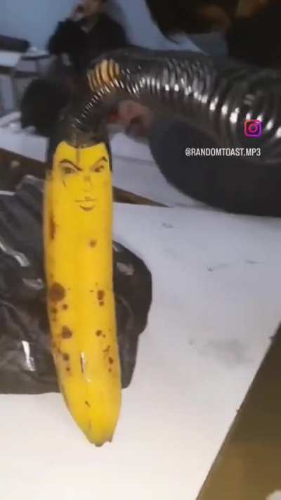 Banana-suke