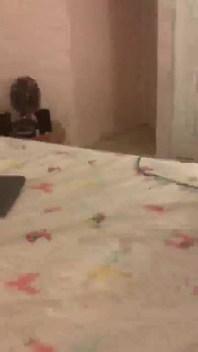 Cat attack!