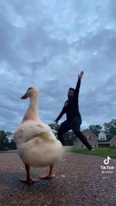 Duck butt