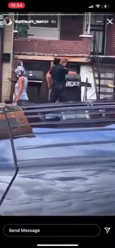 Wild fight