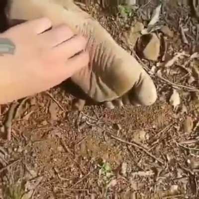 Why.