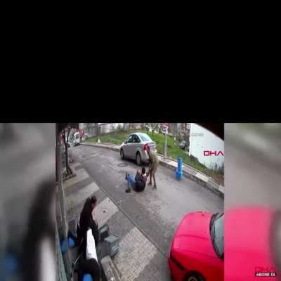 boy was almost committing murder while trying to help his father