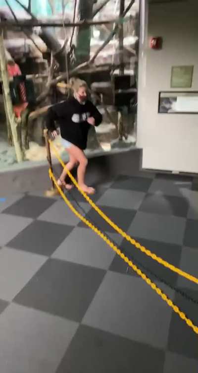 Monkeying Around