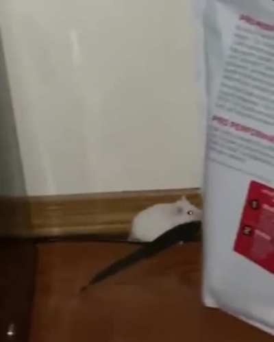 He&rsquo;s got a knife!