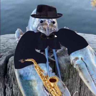 gentlemen blue lobster