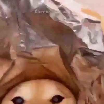 El Micky te ofrece un dorito, aceptas?