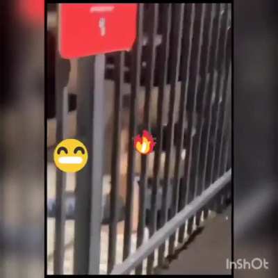 Public freaks
