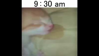 papa