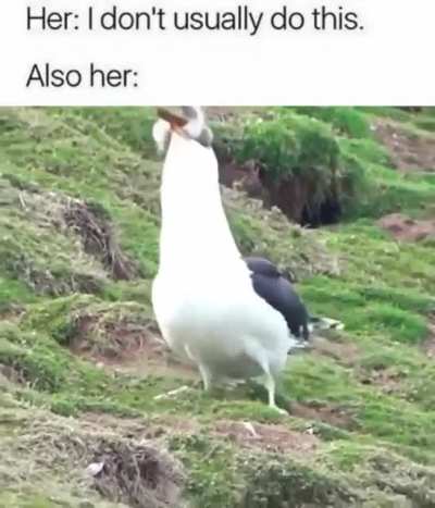 hmmmm