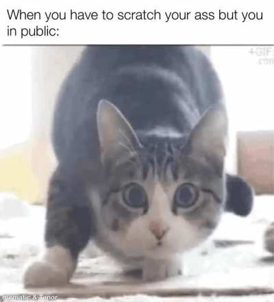 I&rsquo;m not the only one right?