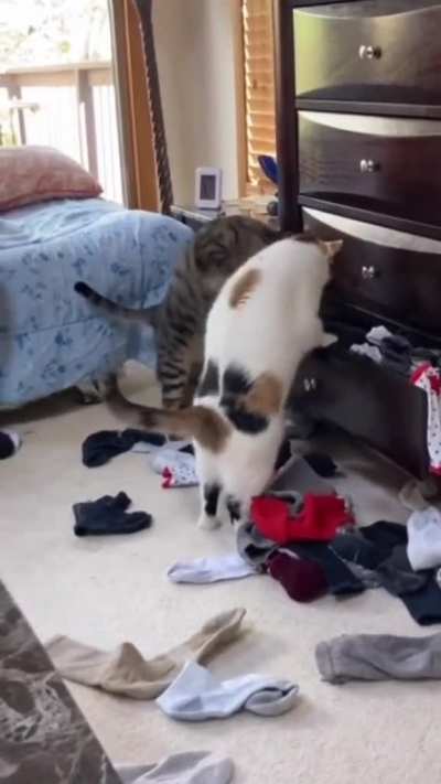 Where the heck did they hide the nip...