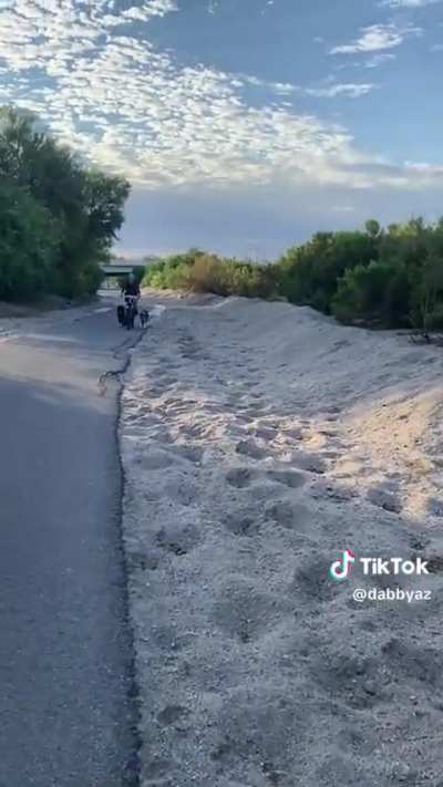 &ldquo;You&rsquo;re on the wrong side of the road!&rdquo;