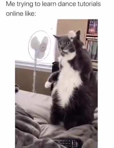 Me irl