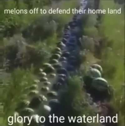 Fight well melons