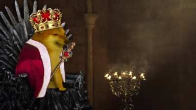 When DOGE Surpasses BTCs Market Cap and becomes #1 Crypto: