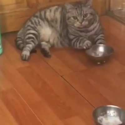 Feed me!