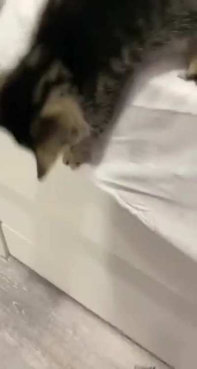 Little man was so offended