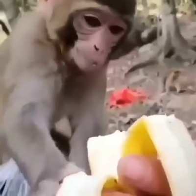 M&oacute; esculacho