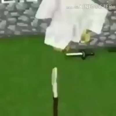 chicken fight chicken chicken fight