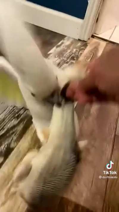 wtf