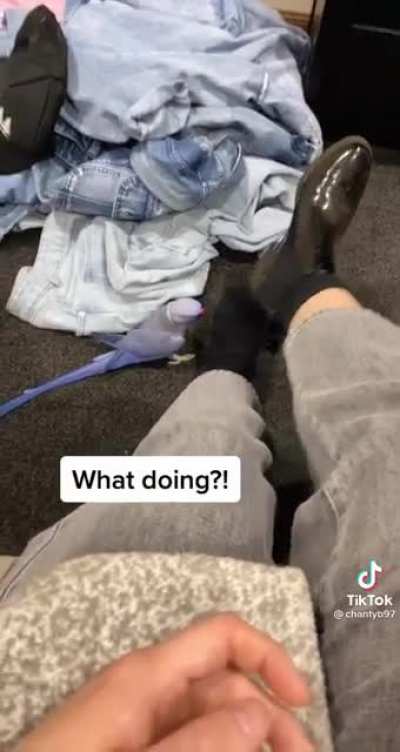 What doing