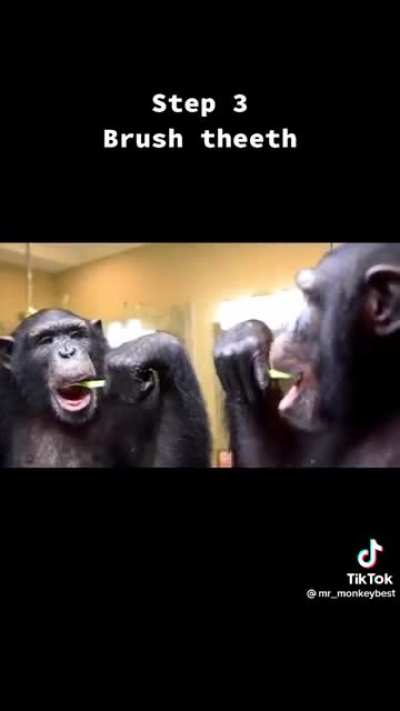monke c: