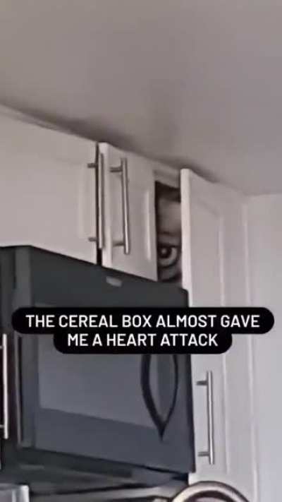 shitposting - Video #8193