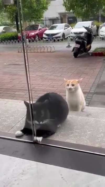 Hurry up! You're not doing it right!