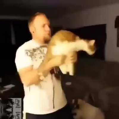 #TENTEN&Atilde;ORIR...sem nada pra fazer em casa &eacute; isso...ta vendo?!...agr temos um gato metralhadora entre nos