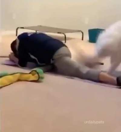 It’s spanking time